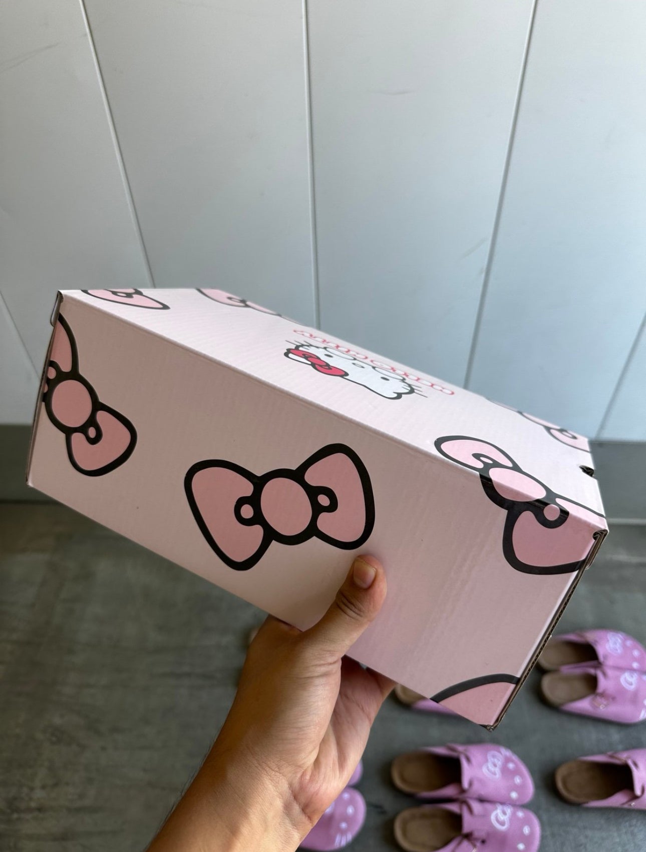 Hello Kitty Slides